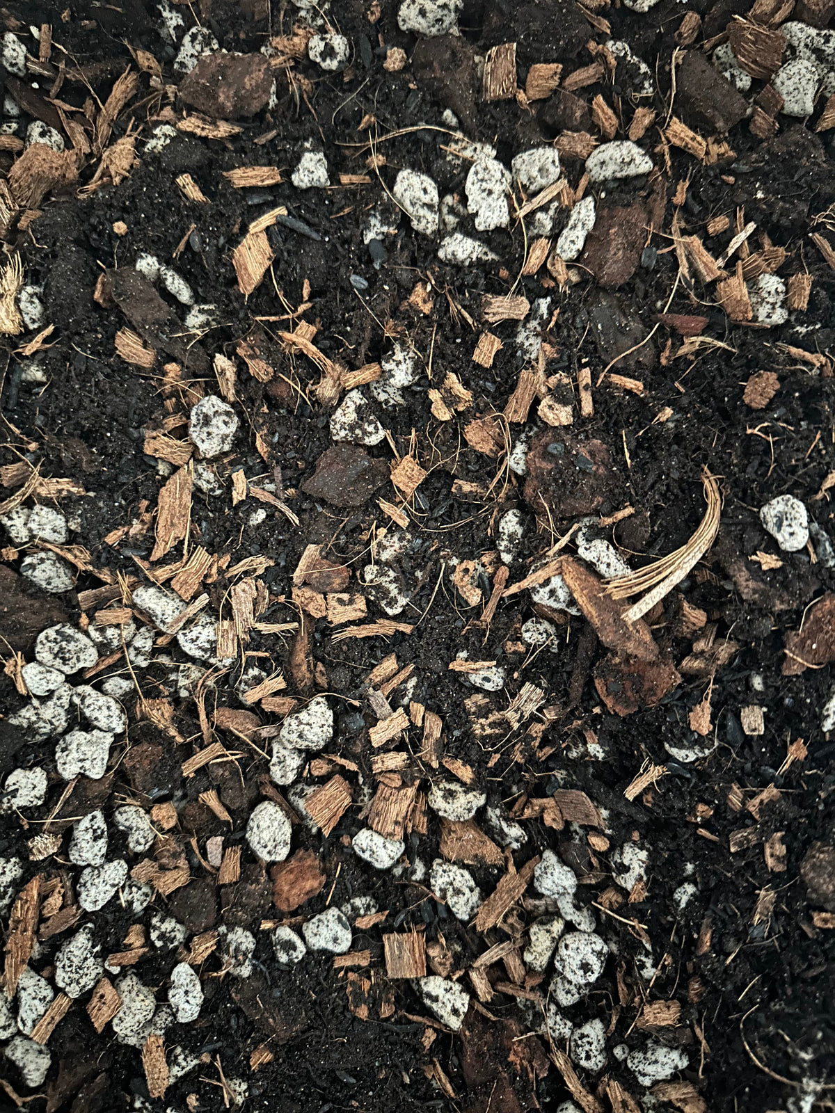 Premium Super Chunky Potting Mix
