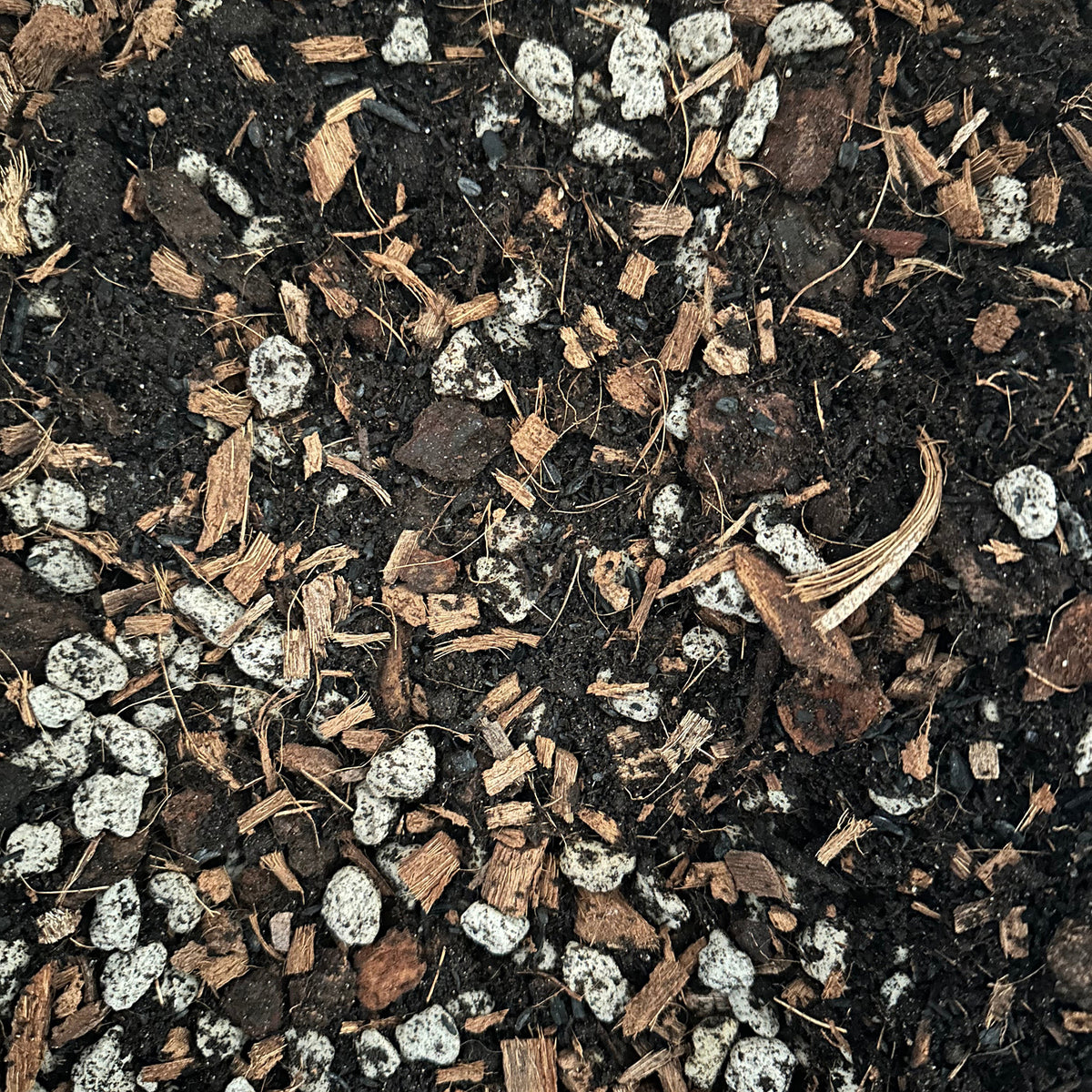 Premium Super Chunky Potting Mix