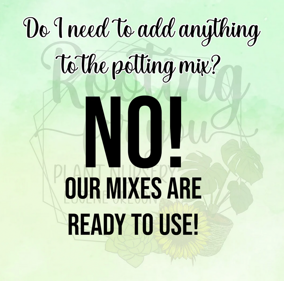 Premium Super Chunky Potting Mix