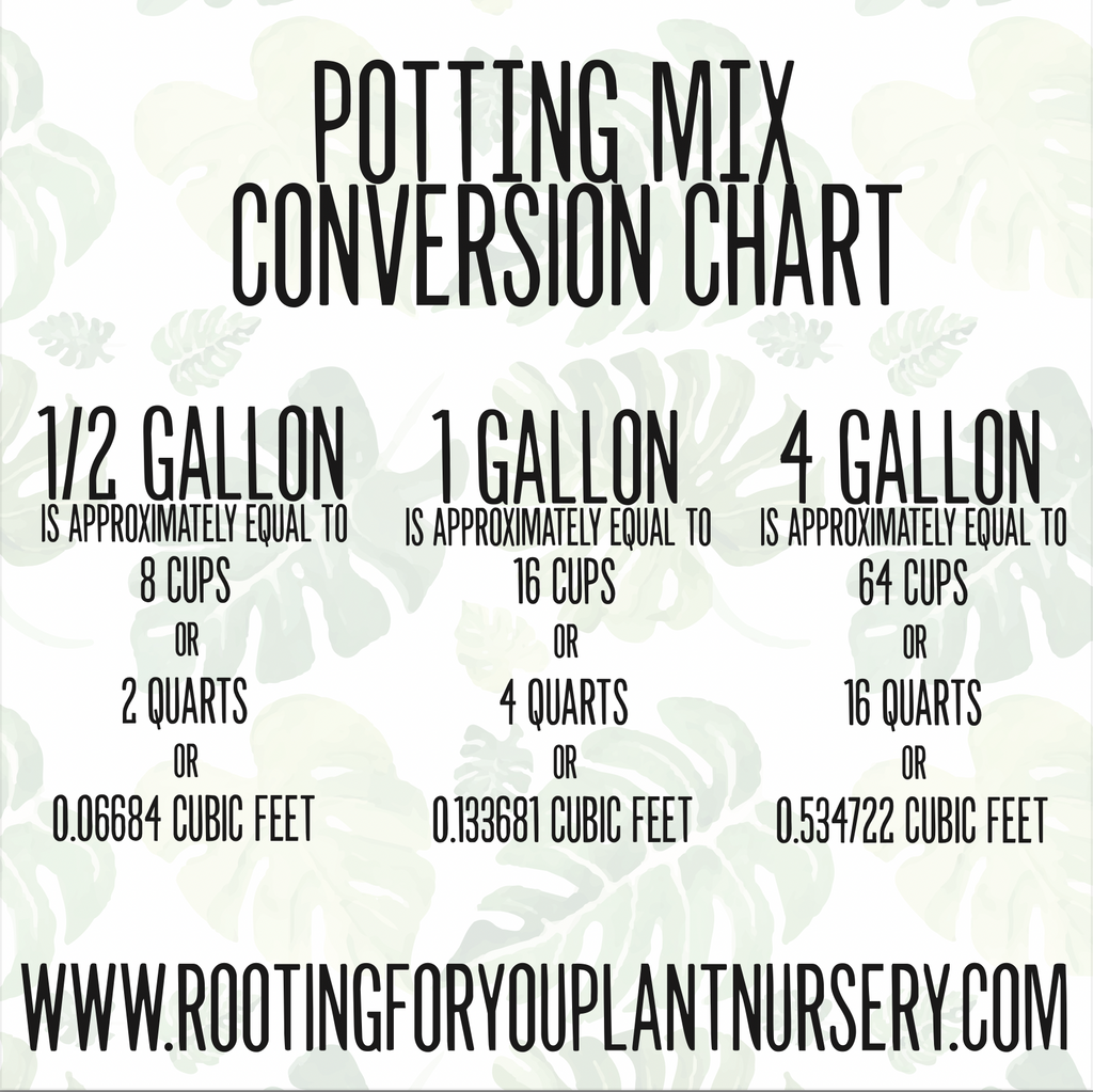 Premium Super Chunky Potting Mix